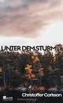 Cover: Unter dem Sturm - Rowohlt