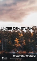 Cover: Unter dem Sturm - Rowohlt