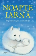 Cover: Noapte De Iarna - Litera Media Group