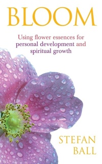Enlarge image Cover: Bloom - Vermilion