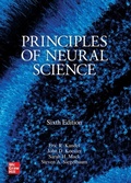 Abbildung von: Principles of Neural Science, Sixth Edition - McGraw Hill LLC