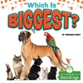 Cover: Which Is Biggest? - Crabtree Publishing Co,US