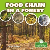 Enlarge image Cover: Food Chain in a Forest - Crabtree Publishing Co,US
