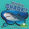 Cover: What Is a Shark? - Crabtree Publishing Co,US