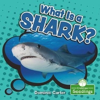 Enlarge image Cover: What Is a Shark? - Crabtree Publishing Co,US