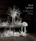 Cover: Beth Lipman: Collective Elegy - Marquand Books Inc