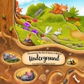 Cover: Discovering the Secret World of Nature Underground - Happy Fox Books