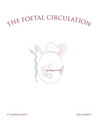 Enlarge image Cover: The Foetal Circulation - AuthorHouse