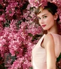 Cover: Always Audrey - ACC Art Books