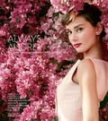 Cover: Always Audrey - ACC Art Books