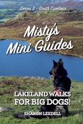 Cover: Misty's Mini Guides - Pixel Tweaks Publications