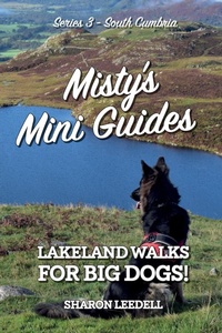 Enlarge image Cover: Misty's Mini Guides - Pixel Tweaks Publications