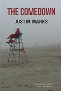 Cover: The Comedown - Publishing Genius Press