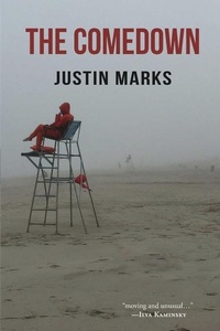Enlarge image Cover: The Comedown - Publishing Genius Press