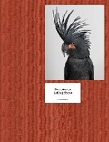 Cover: Leila Jeffreys - Des Oiseaux - Editions Xavier Barral