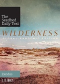 Cover: Wilderness - Seedbed Inc