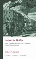 Cover: Industrial Gothic - University of Wales Press