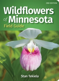 Abbildung von: Wildflowers of Minnesota Field Guide - Adventure Publications
