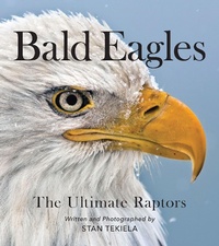 Abbildung von: Bald Eagles - Adventure Publications