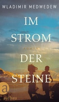 Cover: Im Strom der Steine - Aufbau