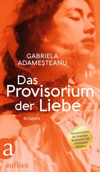 Abbildung von: Das Provisorium der Liebe - Aufbau