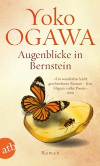 Abbildung von: Augenblicke in Bernstein - Aufbau Taschenbuch