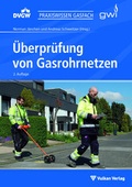 Cover: &Uuml;berpr&uuml;fung von Gasrohrnetzen - Vulkan-Verlag