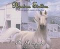 Cover: Phantom Stallion - Oasis Audio