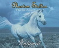 Cover: Phantom Stallion - Oasis Audio