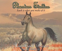 Enlarge image Cover: Phantom Stallion - Oasis Audio