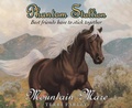 Cover: Phantom Stallion - Oasis Audio