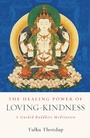 Cover: The Healing Power of Loving-Kindness - Shambhala