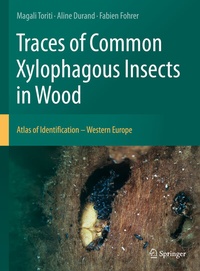 Abbildung von: Traces of Common Xylophagous Insects in Wood - Springer