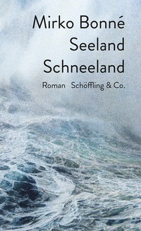 Abbildung von: Seeland Schneeland - Schöffling