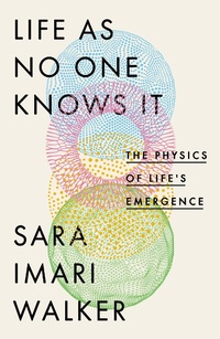 Abbildung von: Life As No One Knows It - The Bridge Street Press