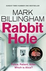 Cover: Rabbit Hole - Sphere