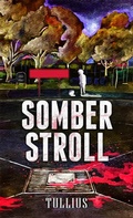 Cover: Somber Stroll - Vincere Press