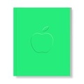 Cover: Vivian Greven. Apple - Stadt Erlangen Kunstpalais