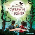 Cover: Die Geheimnisse von Ravenstorm Island 3: Der Mondsteinturm - Silberfisch