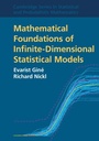 Cover: Mathematical Foundations of Infinite-Dimensional Statistical Models - Cambridge University Press