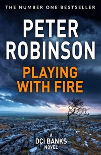 Enlarge image Cover: Playing With Fire - Pan Books