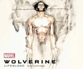 Cover: Wolverine - Dreamscape Media