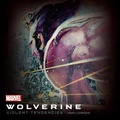Cover: Wolverine - Marvel