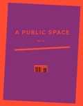Cover: A Public Space No. 33 - A Public Space