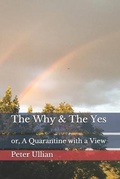 Cover: The Why & The Yes - Swamp Angel Press