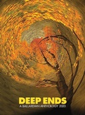 Cover: Deep Ends - Terminal Press