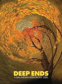 Enlarge image Cover: Deep Ends - Terminal Press