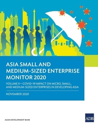 Abbildung von: Asia Small and Medium-Sized Enterprise Monitor 2020 - Volume II - Asian Development Bank