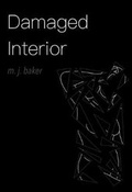 Cover: Damaged Interior: Deluxe Edition - M. J. Baker