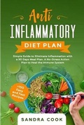 Cover: Anti Inflammatory Diet Plan - ORANGE PAPER LTD